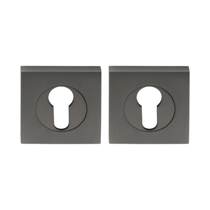Euro Escutcheon (Pair)